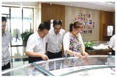 中国珍珠产业生态养殖发展研讨会与会领导和专家一行莅临天使之泪参观考察