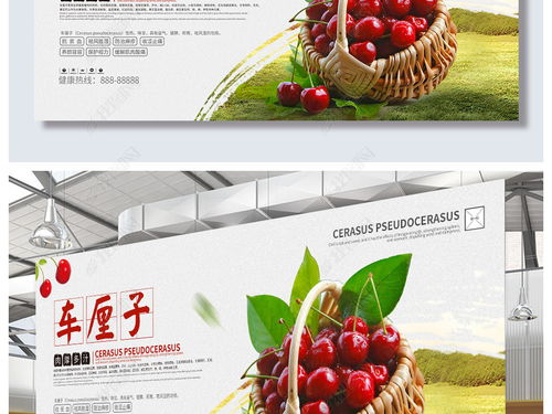 创意新鲜车厘子樱桃水果促销批发海报设计图片素材下载